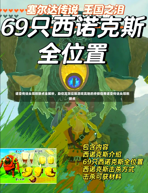 诺亚传说头领刷新点全解析	，助你高效征服游戏高地的终极指南诺亚传说头领刷新点-第3张图片