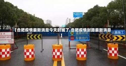 【合肥疫情最新消息今天封城了,合肥疫情封路最新消息】-第2张图片