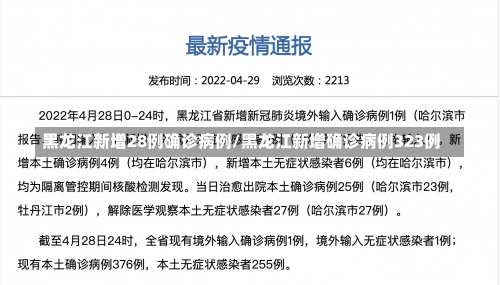 黑龙江新增28例确诊病例/黑龙江新增确诊病例323例-第1张图片