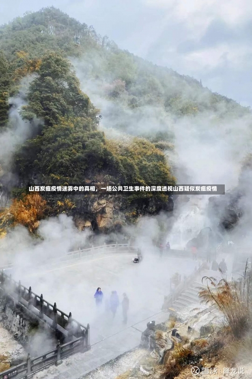 山西炭疽疫情迷雾中的真相，一场公共卫生事件的深度透视山西疑似炭疽疫情-第2张图片