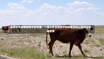 山西炭疽疫情迷雾中的真相	，一场公共卫生事件的深度透视山西疑似炭疽疫情-第3张图片