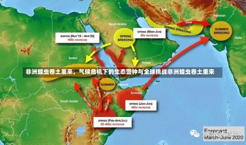 非洲蝗虫卷土重来	，气候危机下的生态警钟与全球挑战非洲蝗虫卷土重来-第1张图片