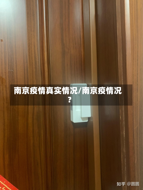 南京疫情真实情况/南京疫情况?-第2张图片