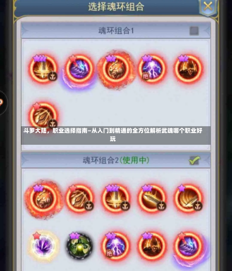 斗罗大陆，职业选择指南—从入门到精通的全方位解析武魂哪个职业好玩-第2张图片