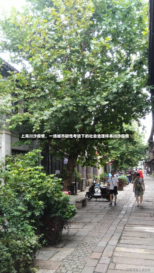 上海川沙疫情，一场城市韧性考验下的社会治理样本川沙疫情-第2张图片