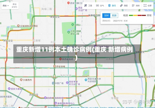重庆新增11例本土确诊病例(重庆 新增病例)-第1张图片