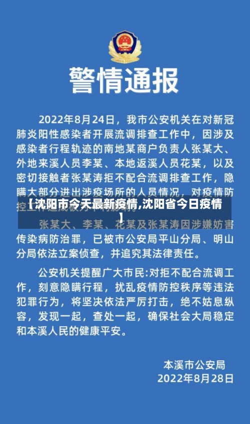 【沈阳市今天最新疫情,沈阳省今日疫情】-第3张图片