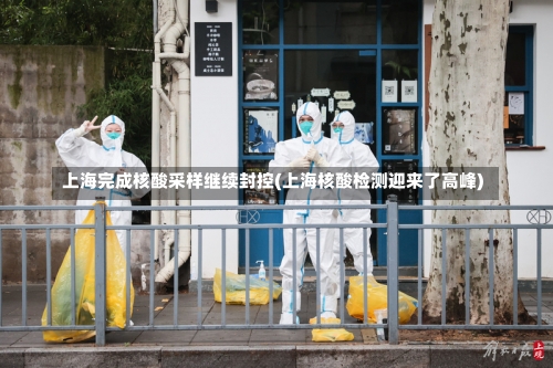 上海完成核酸采样继续封控(上海核酸检测迎来了高峰)-第2张图片