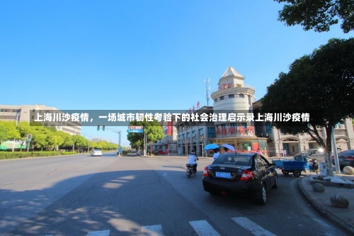 上海川沙疫情，一场城市韧性考验下的社会治理启示录上海川沙疫情-第2张图片