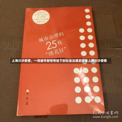 上海川沙疫情，一场城市韧性考验下的社会治理启示录上海川沙疫情-第3张图片