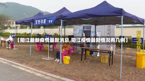 【阳江最新疫情最新消息,阳江疫情最新情况有几例】-第1张图片