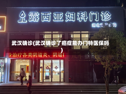 武汉确诊(武汉确诊了癌症能办门特医保吗)-第2张图片
