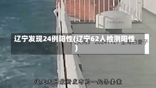 辽宁发现24例阳性(辽宁62人检测阳性)-第1张图片