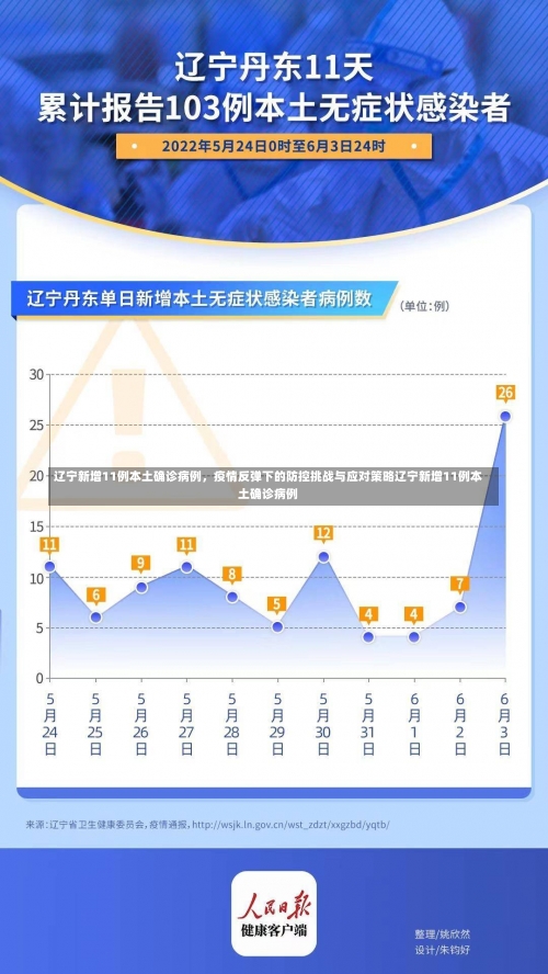辽宁新增11例本土确诊病例	，疫情反弹下的防控挑战与应对策略辽宁新增11例本土确诊病例-第1张图片