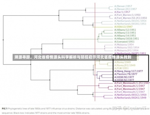 溯源寻踪	，河北省疫情源头科学解析与防控启示河北省疫情源头找到-第1张图片