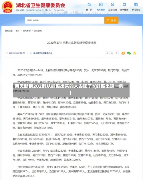 两天新增202例从蚌埠出来的人去哪了?(蚌埠出现一例)-第1张图片