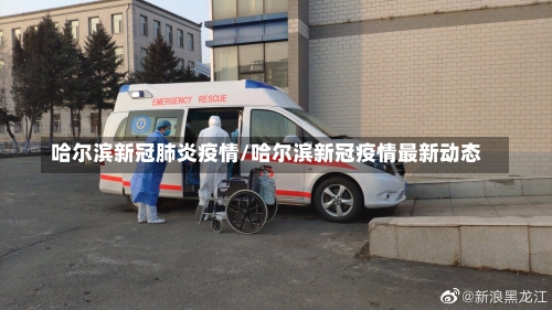 哈尔滨新冠肺炎疫情/哈尔滨新冠疫情最新动态-第1张图片
