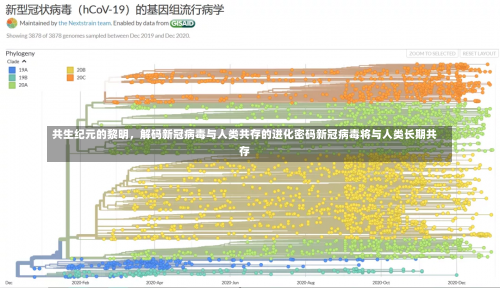 共生纪元的黎明，解码新冠病毒与人类共存的进化密码新冠病毒将与人类长期共存-第2张图片