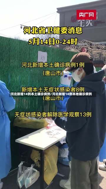 河北新增14例本土确诊病例/河北新增14例本地确诊病例-第2张图片