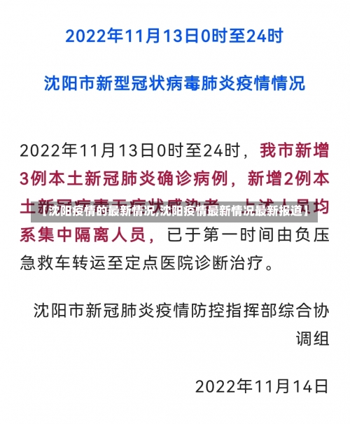 【沈阳疫情的最新情况,沈阳疫情最新情况最新报道】-第2张图片