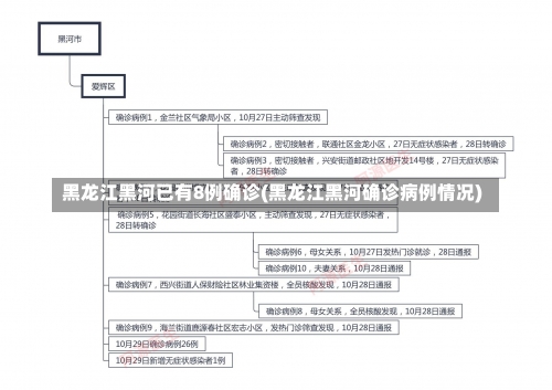 黑龙江黑河已有8例确诊(黑龙江黑河确诊病例情况)-第2张图片