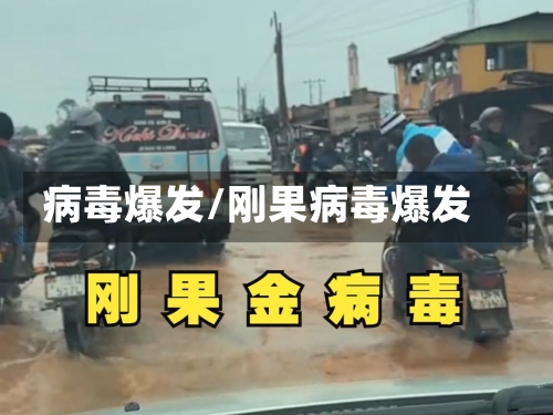 病毒爆发/刚果病毒爆发-第1张图片