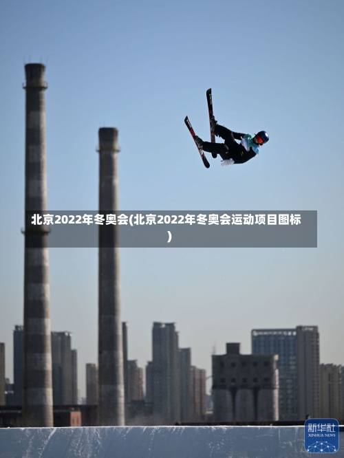 北京2022年冬奥会(北京2022年冬奥会运动项目图标)-第1张图片