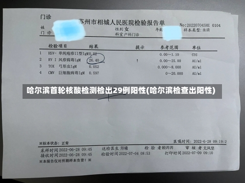 哈尔滨首轮核酸检测检出29例阳性(哈尔滨检查出阳性)-第1张图片