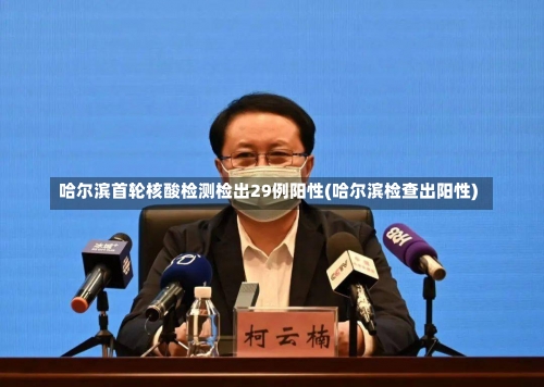 哈尔滨首轮核酸检测检出29例阳性(哈尔滨检查出阳性)-第3张图片