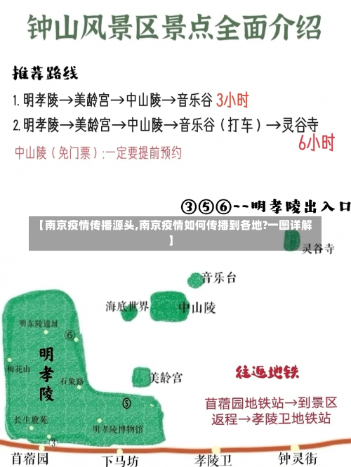 【南京疫情传播源头,南京疫情如何传播到各地?一图详解】-第1张图片