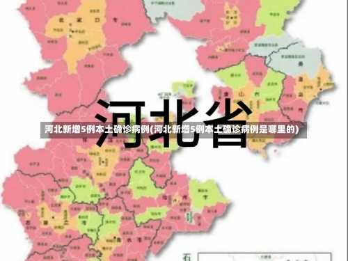 河北新增5例本土确诊病例(河北新增5例本土确诊病例是哪里的)-第1张图片