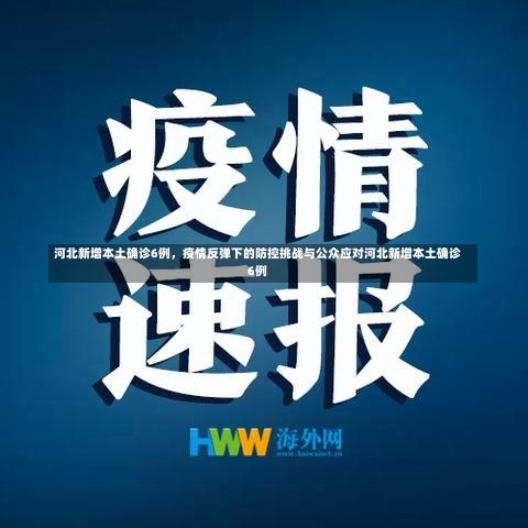 河北新增本土确诊6例，疫情反弹下的防控挑战与公众应对河北新增本土确诊6例-第2张图片