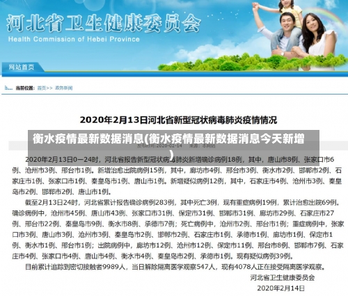 衡水疫情最新数据消息(衡水疫情最新数据消息今天新增)-第3张图片