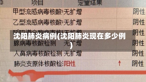 沈阳肺炎病例(沈阳肺炎现在多少例)-第2张图片