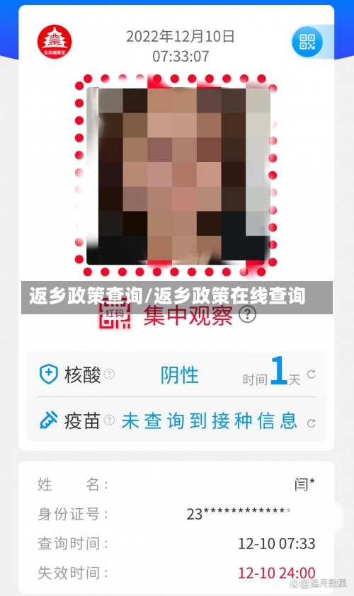 返乡政策查询/返乡政策在线查询-第3张图片