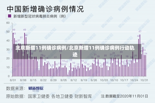 北京新增11例确诊病例/北京新增11例确诊病例行动轨迹-第2张图片