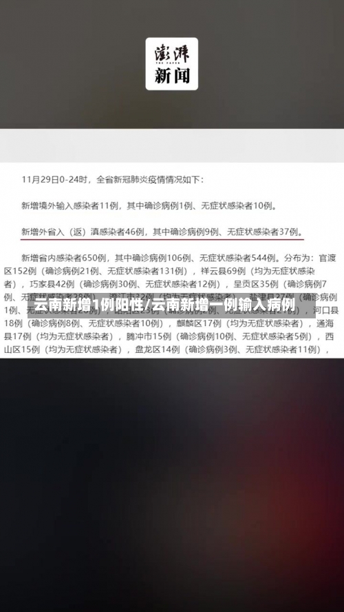 云南新增1例阳性/云南新增一例输入病例-第2张图片