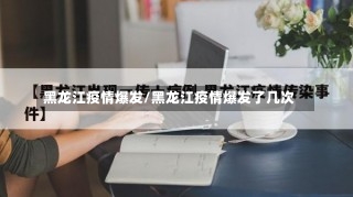 黑龙江疫情爆发/黑龙江疫情爆发了几次-第2张图片